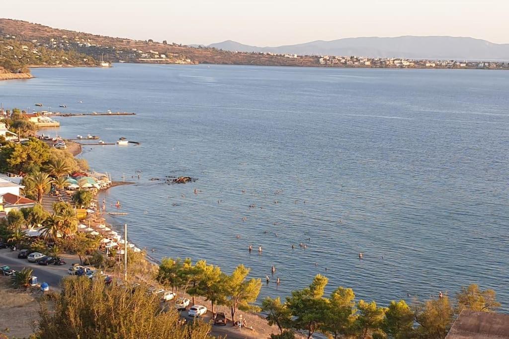 Appartement Avec Vue Aegina Екстер'єр фото